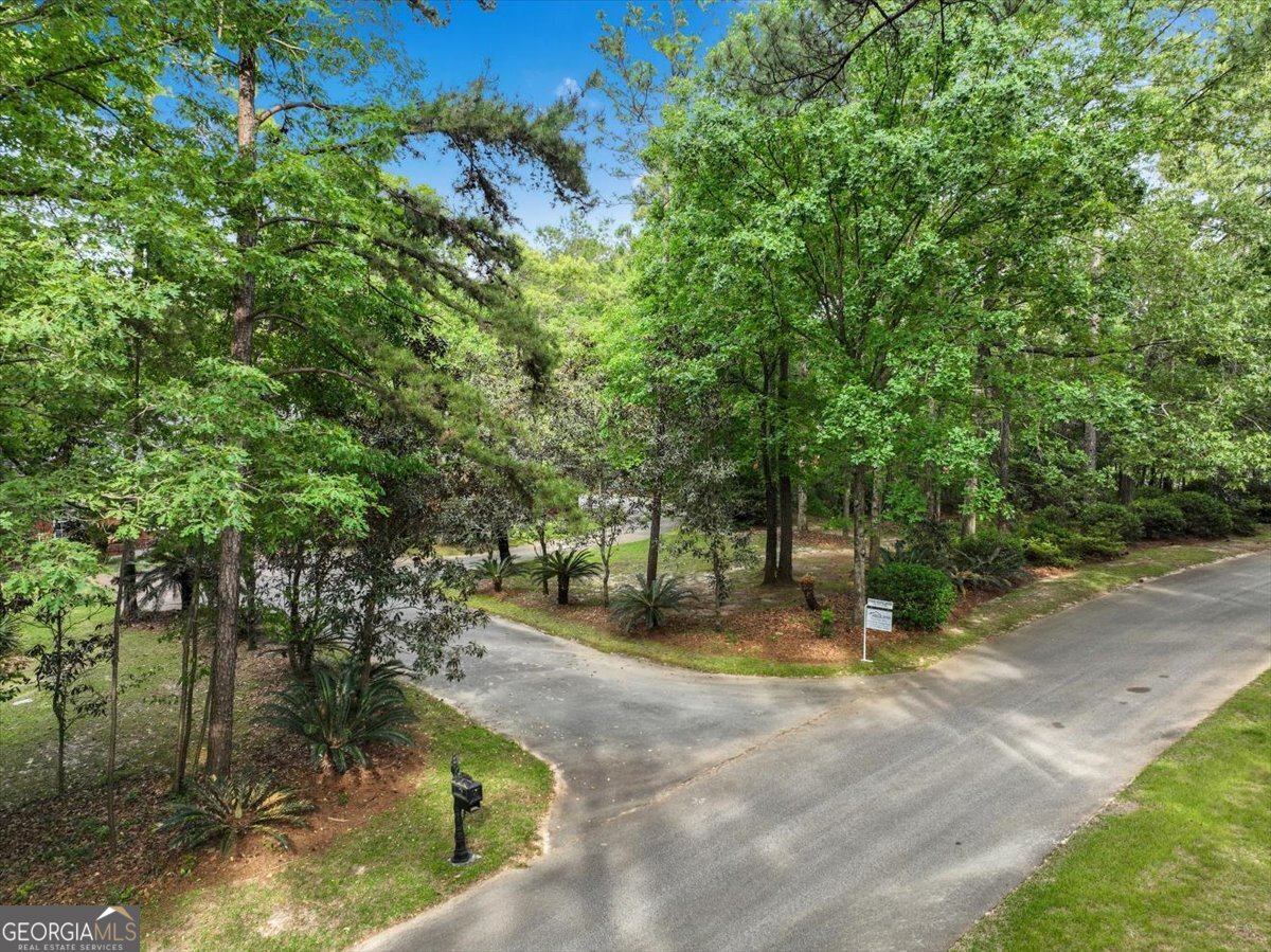 396 Meander Trace Thomasville, GA 31792 - Photo 47 of 50 a view of a park with large trees