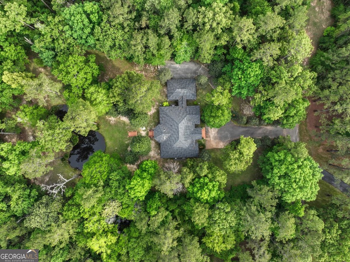 396 Meander Trace Thomasville, GA 31792 - Photo 48 of 50 a view of a garden with plants and large trees