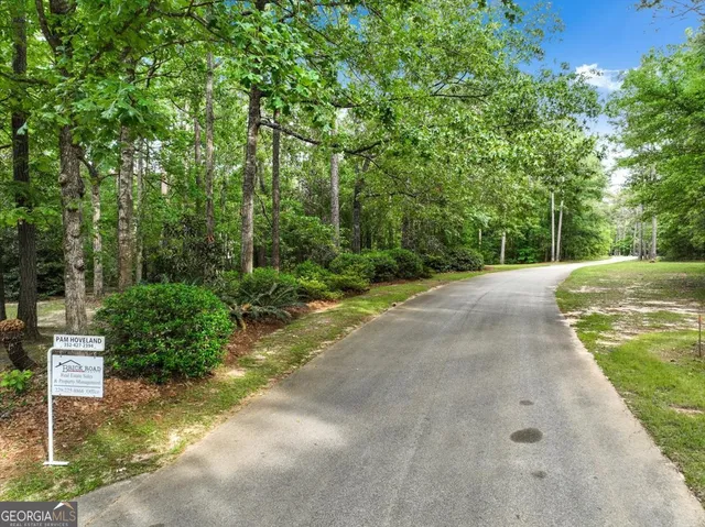 a view of a plant in a garden