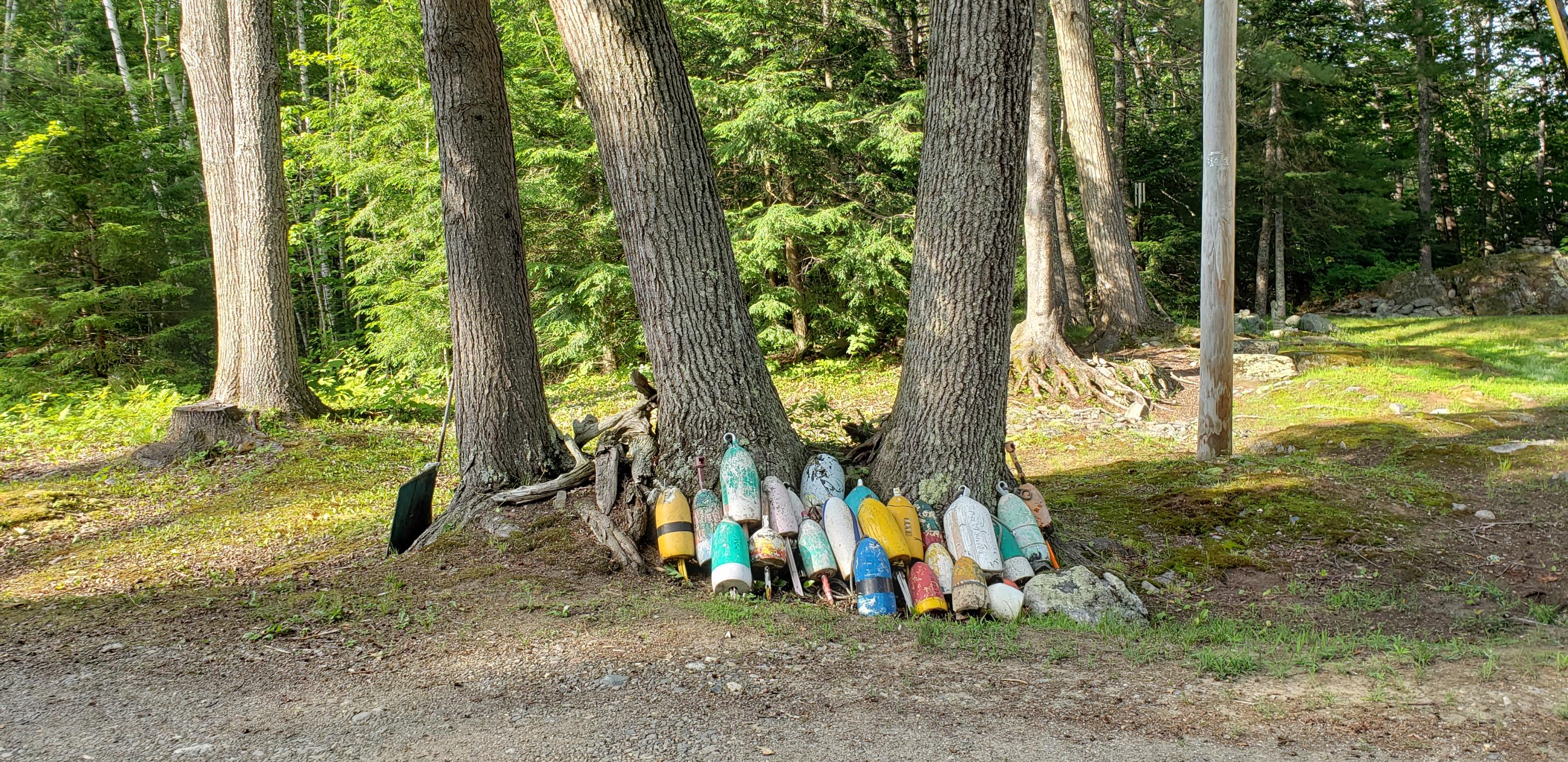 644 Old County Road Washington, ME 04574 - Photo 29 of 31 20200707_171115