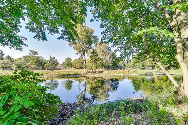 $2,975 | 534 River Front Circle, Unit 604, Naperville, IL 60540