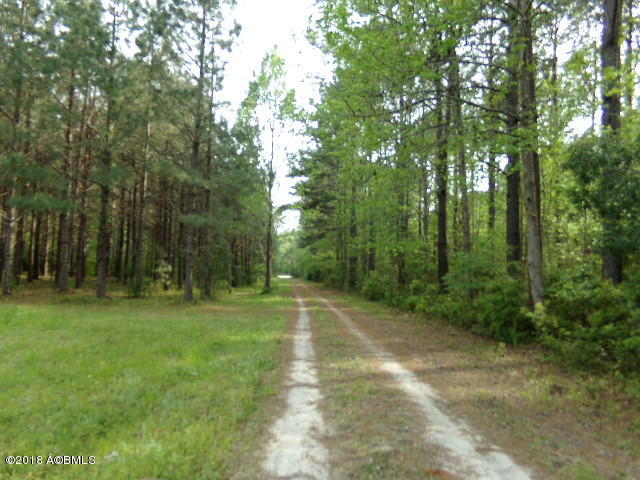 1037 Tillman Road Ridgeland, SC 29936 - Photo 2 of 43 Driveway