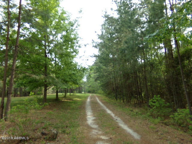 1037 Tillman Road Ridgeland, SC 29936 - Photo 40 of 43 102_9788