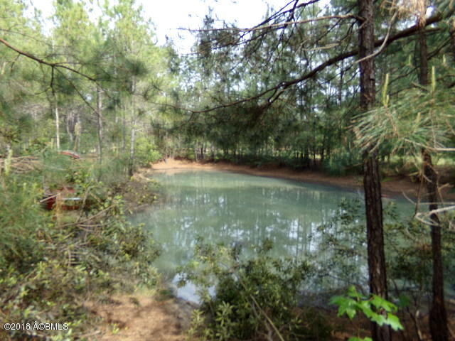 1037 Tillman Road Ridgeland, SC 29936 - Photo 41 of 43 Pond Image 2