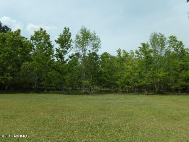 1037 Tillman Road Ridgeland, SC 29936 - Photo 9 of 43 102_9690