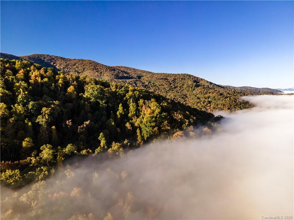 10.19 Lytle Cove Road Swannanoa, NC 28778 - Photo 12 of 14 a view of a mountain