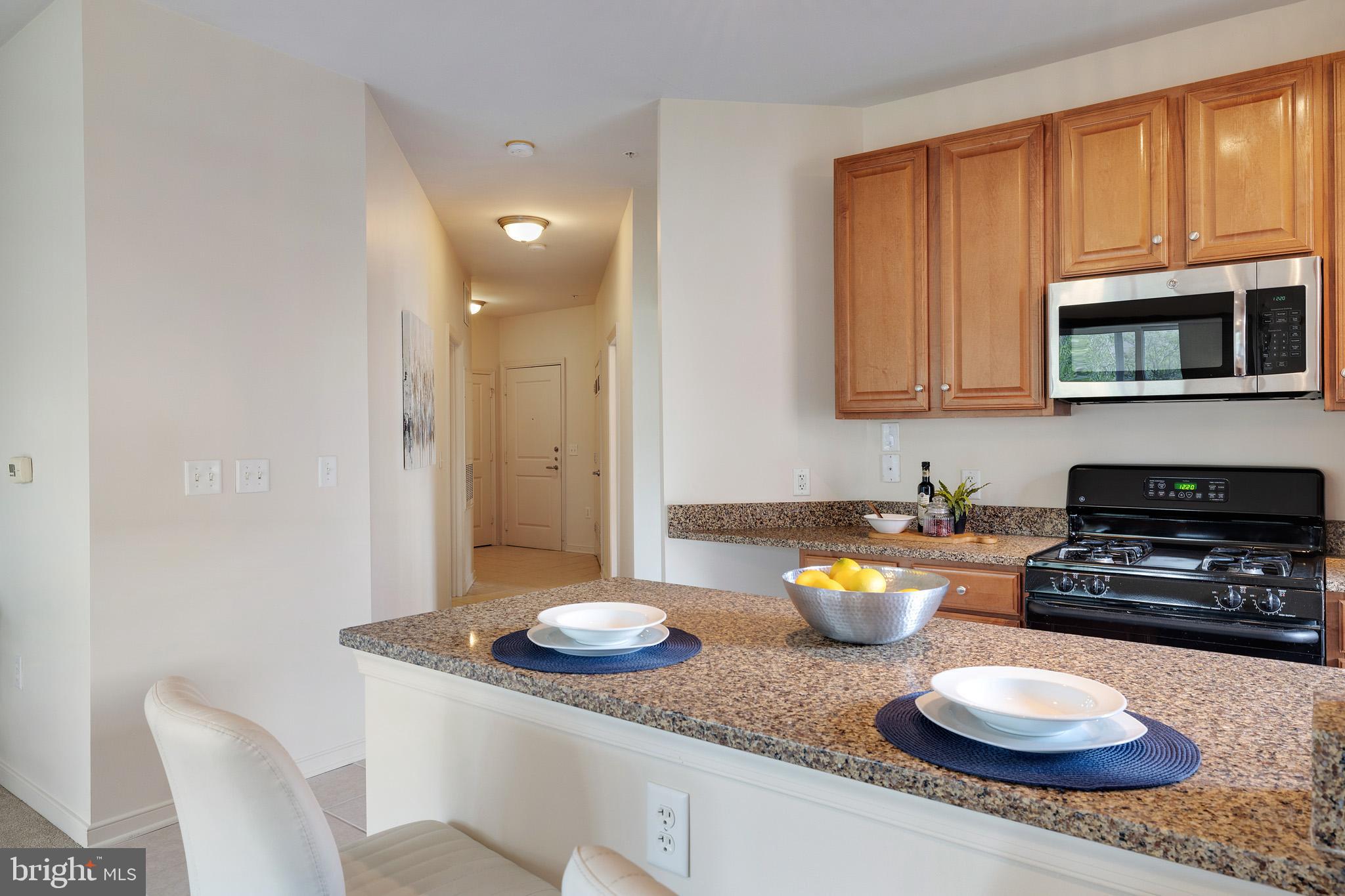 8045 Newell Street, Unit 302 Silver Spring, MD 20910 - Photo 14 of 35 Gallery Image 14