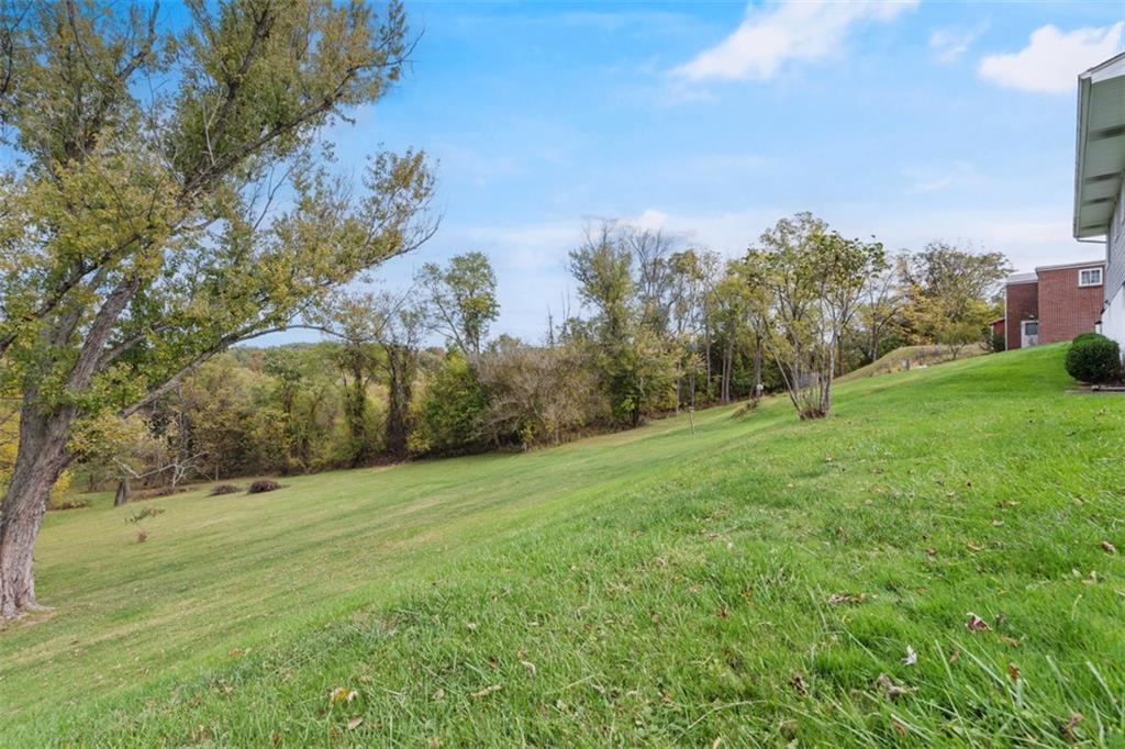 119 Linden Road Canonsburg, PA 15317 - Photo 35 of 41 a view of a trees with a yard