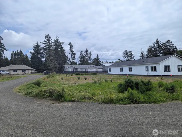 a view of a field with plants and trees
