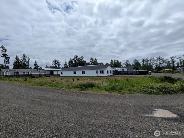 a view of a big yard with plants and a large tree