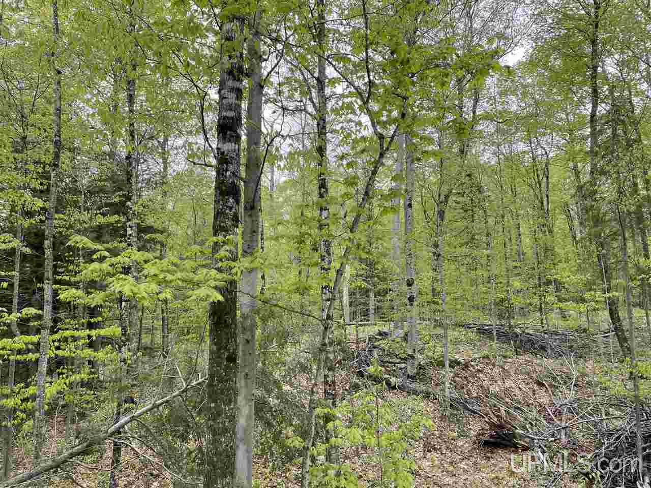 0 County Road 577 Road, Unit ANNA RIVER RDP Munising, MI 49862 - Photo 24 of 26
