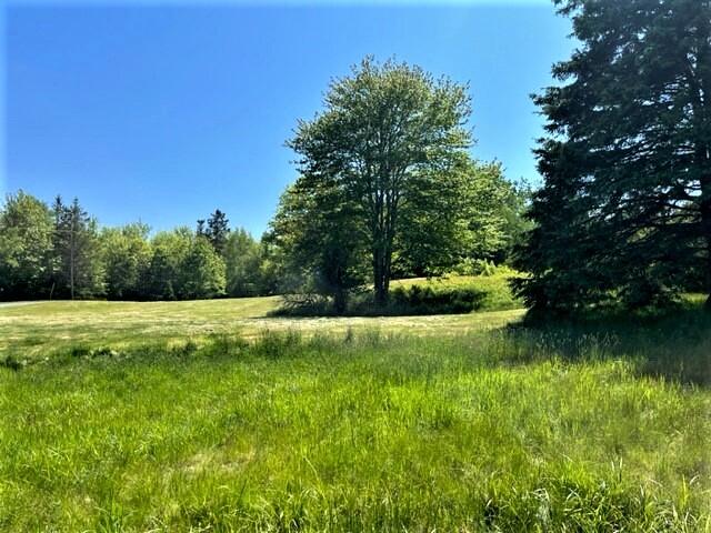 68 Joy Road Gouldsboro, ME 04607 - Photo 17 of 45 Joy5