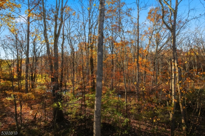 66 Whisper Way East Ledgewood, NJ 07852 - Photo 33 of 38 a view of forest