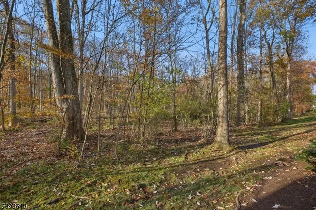 a view of a yard with trees