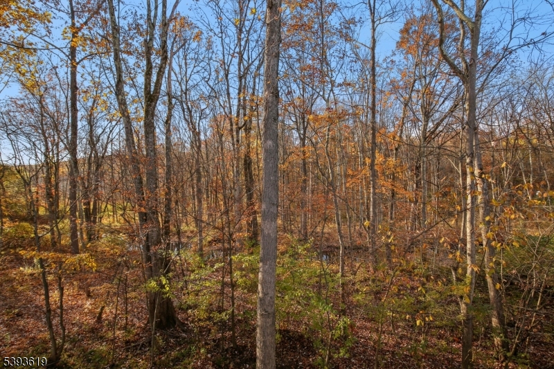66 Whisper Way East Ledgewood, NJ 07852 - Photo 37 of 38 a view of forest