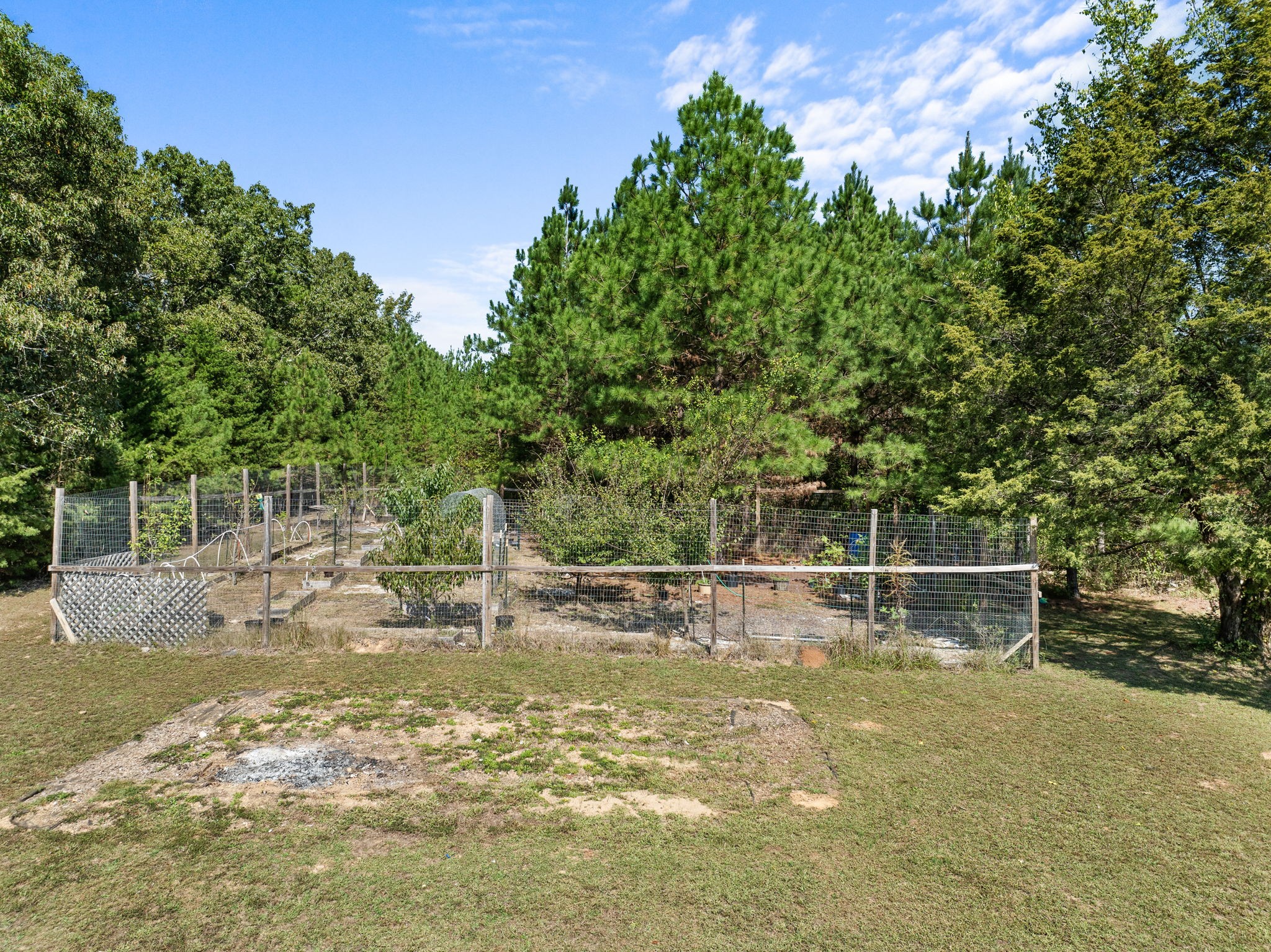 7221 Budrow Road Cypress Inn, TN 38452 - Photo 46 of 55 Gallery Image 46
