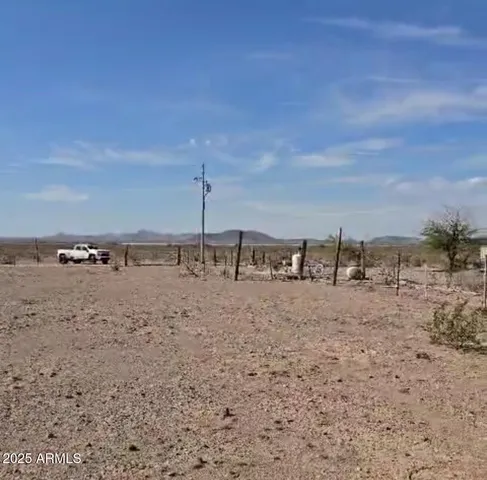 a view of a dry yard