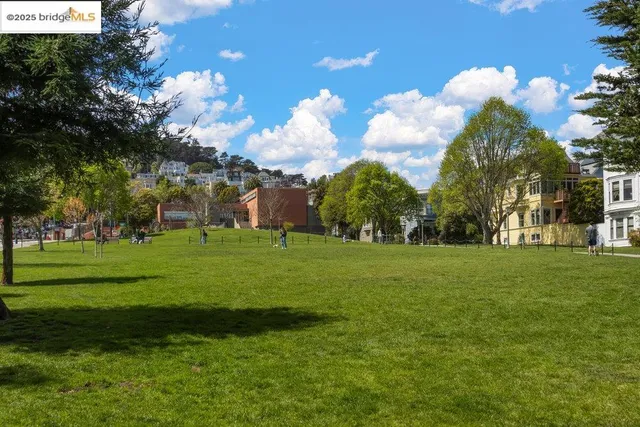 a front view of a house with a tree