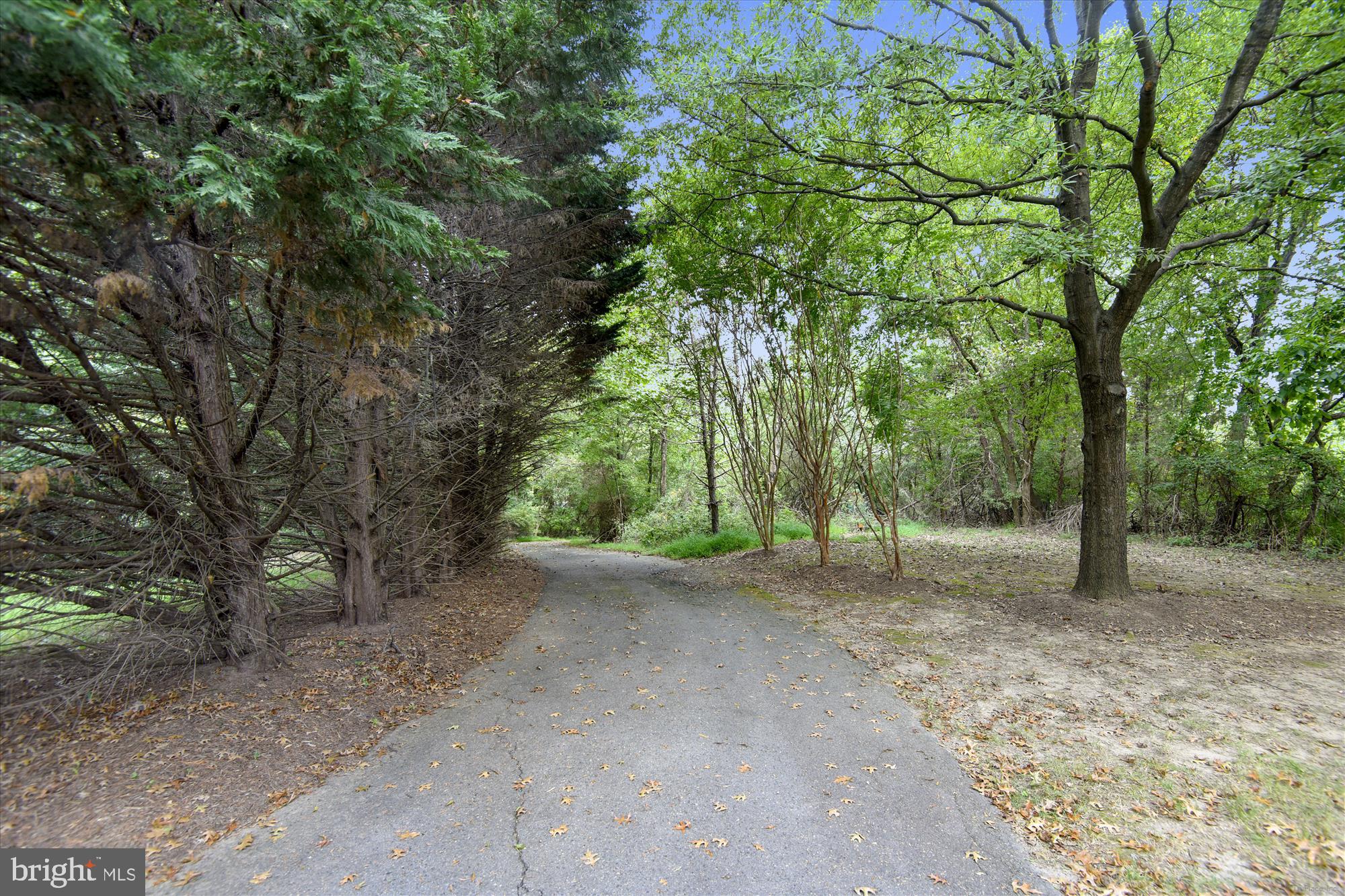 3853 Inverness Road Fairfax, VA 22033 - Photo 41 of 46 Penderbrook Trails