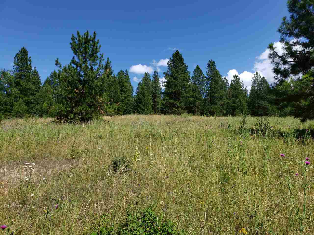 Xxxx Prouty Corner Loop Road Colville, WA 99114 - Photo 11 of 20