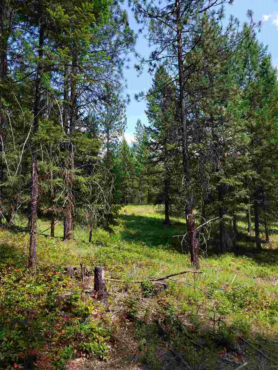 Xxxx Prouty Corner Loop Road Colville, WA 99114 - Photo 13 of 20