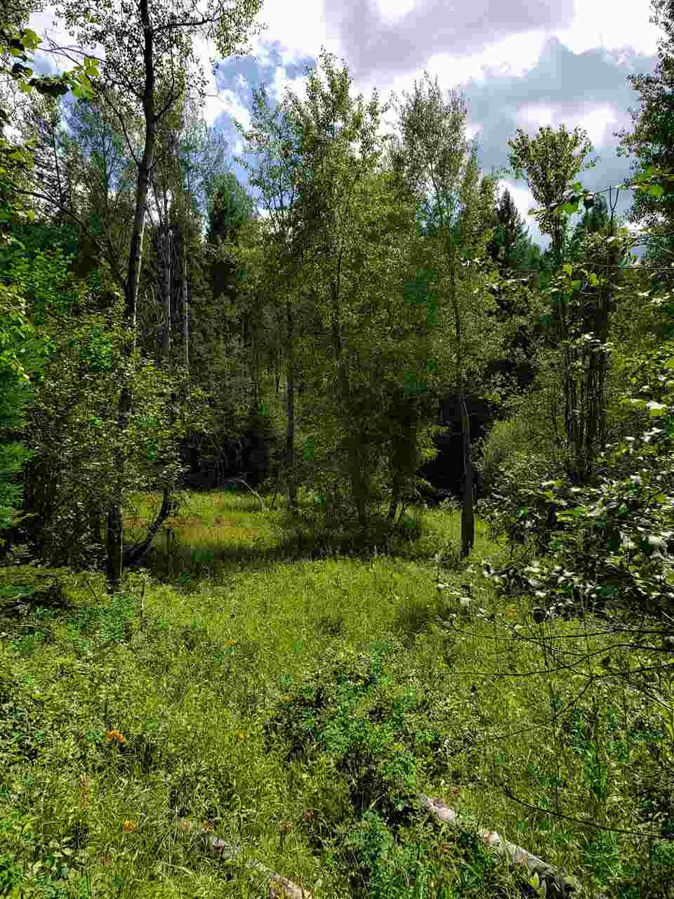 Xxxx Prouty Corner Loop Road Colville, WA 99114 - Photo 14 of 20