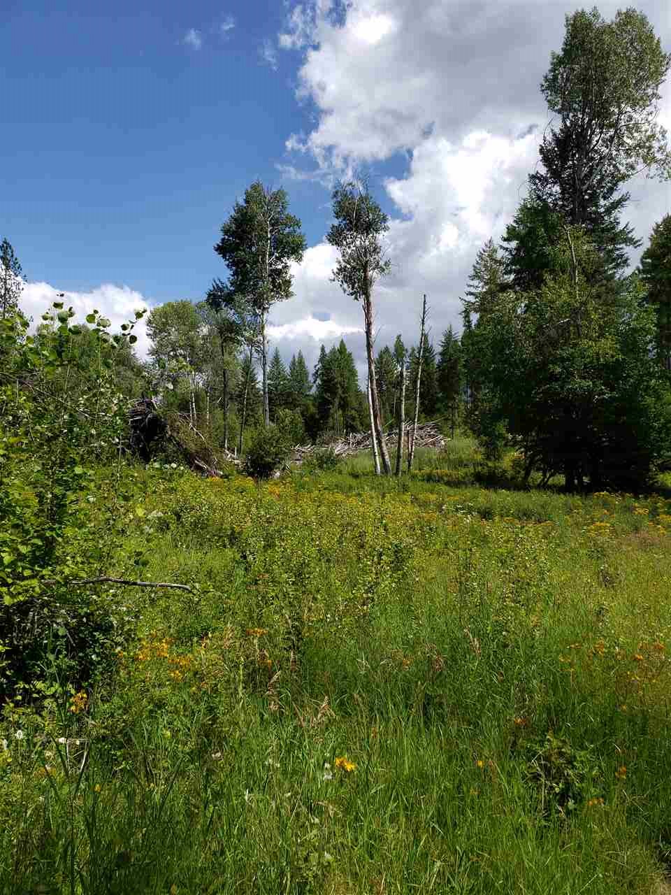 Xxxx Prouty Corner Loop Road Colville, WA 99114 - Photo 15 of 20
