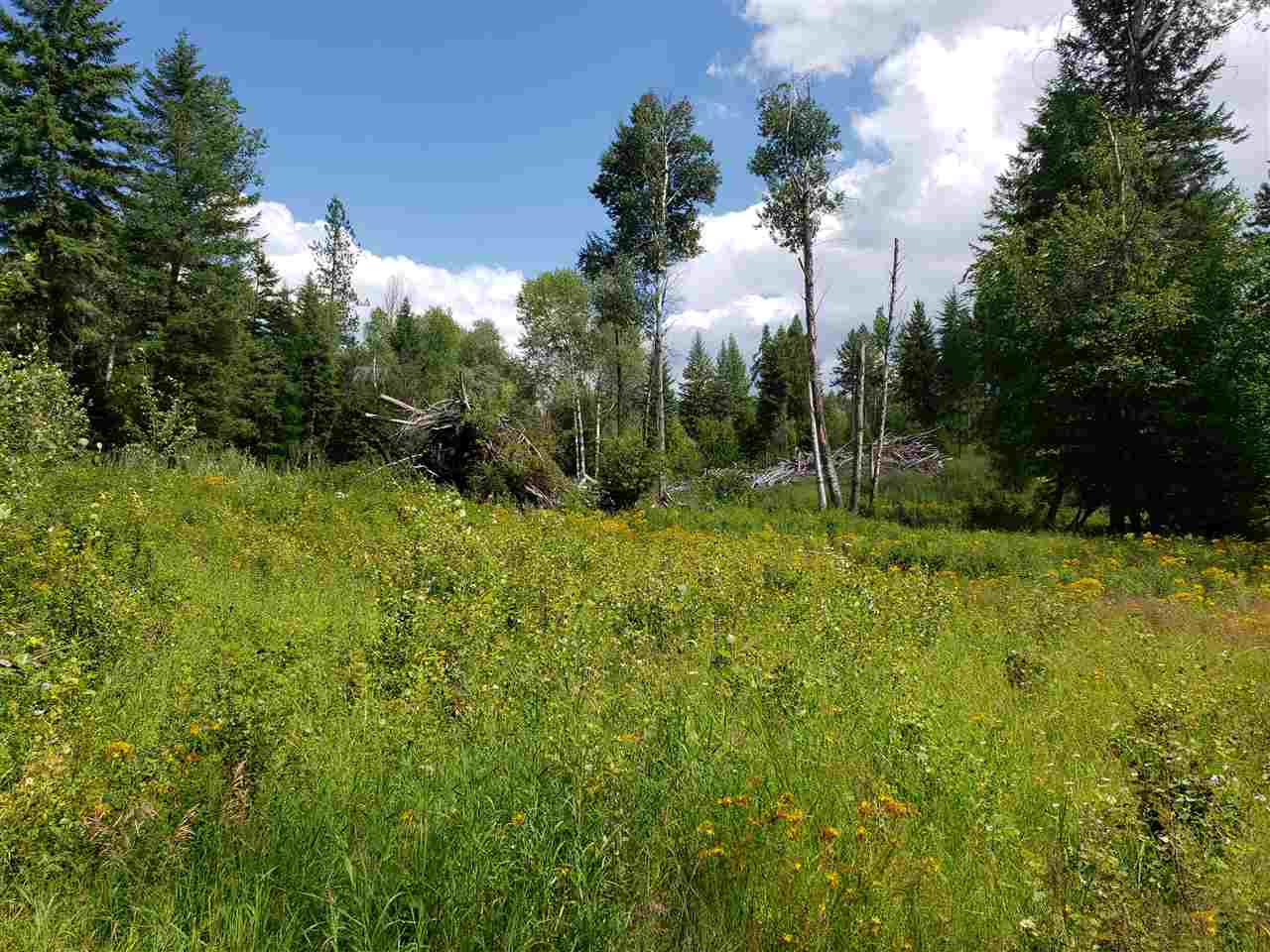 Xxxx Prouty Corner Loop Road Colville, WA 99114 - Photo 16 of 20