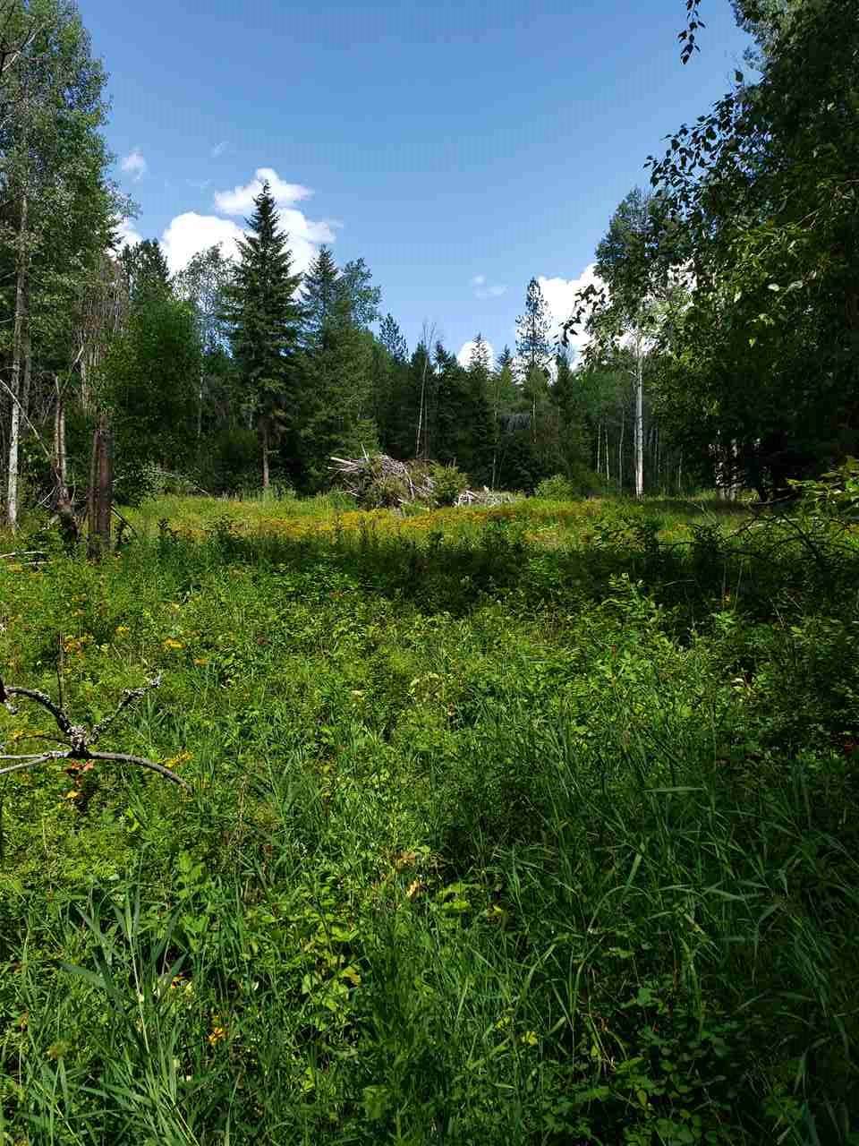 Xxxx Prouty Corner Loop Road Colville, WA 99114 - Photo 17 of 20