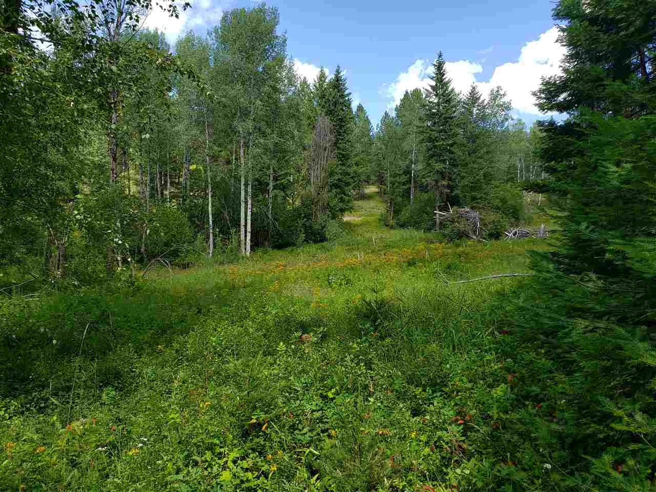 Xxxx Prouty Corner Loop Road Colville, WA 99114 - Photo 18 of 20