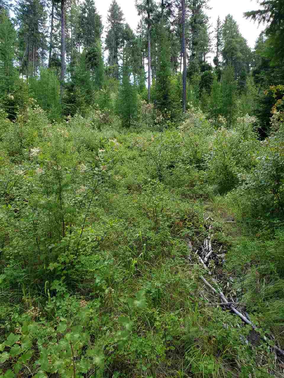 Xxxx Prouty Corner Loop Road Colville, WA 99114 - Photo 19 of 20