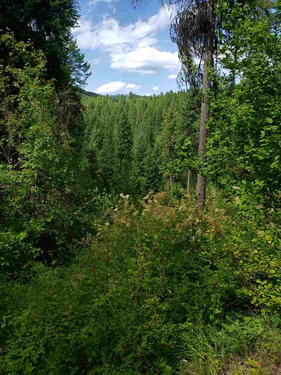 Xxxx Prouty Corner Loop Road Colville, WA 99114 - Photo 20 of 20