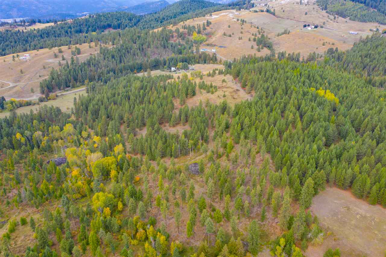 Xxxx Prouty Corner Loop Road Colville, WA 99114 - Photo 3 of 20