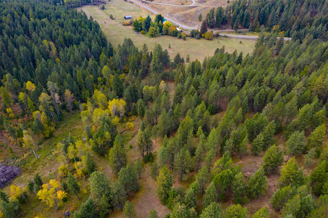 Xxxx Prouty Corner Loop Road Colville, WA 99114 - Photo 4 of 20