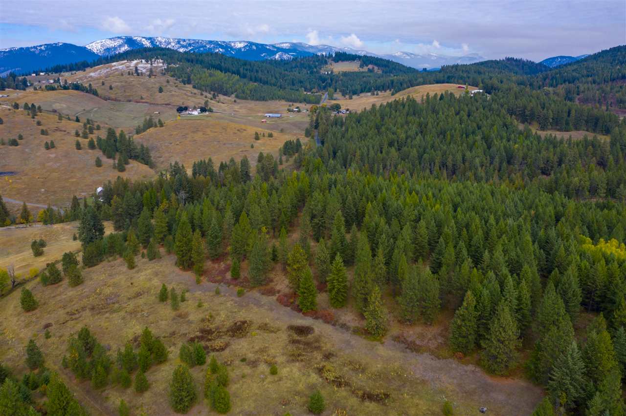 Xxxx Prouty Corner Loop Road Colville, WA 99114 - Photo 5 of 20