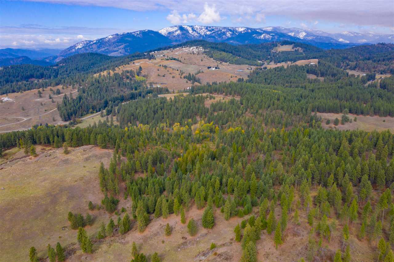 Xxxx Prouty Corner Loop Road Colville, WA 99114 - Photo 6 of 20