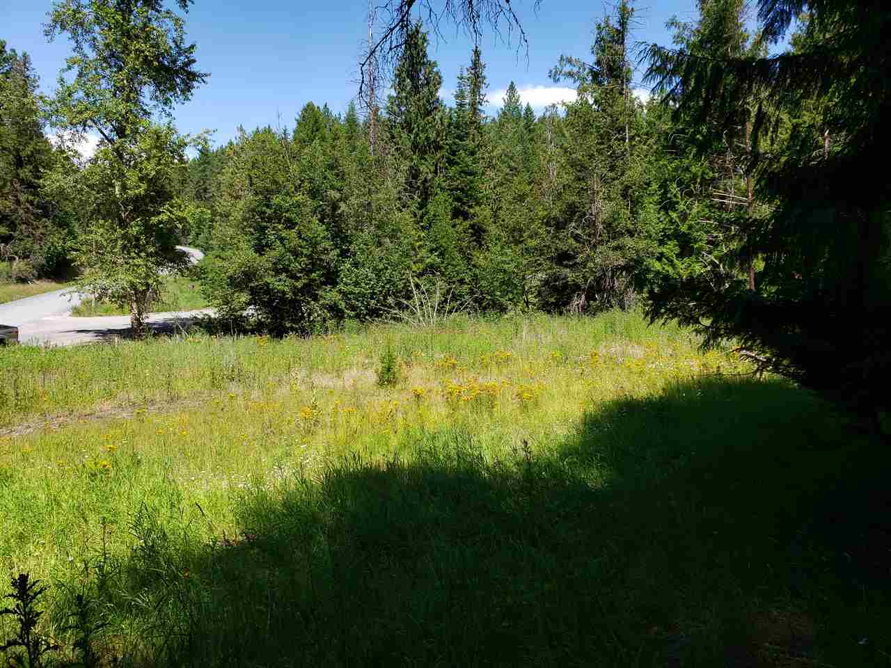 Xxxx Prouty Corner Loop Road Colville, WA 99114 - Photo 7 of 20