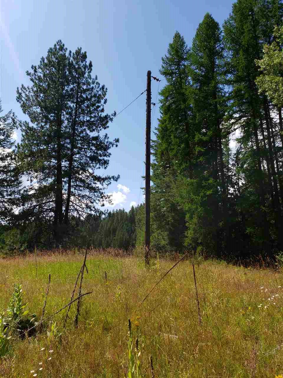 Xxxx Prouty Corner Loop Road Colville, WA 99114 - Photo 8 of 20