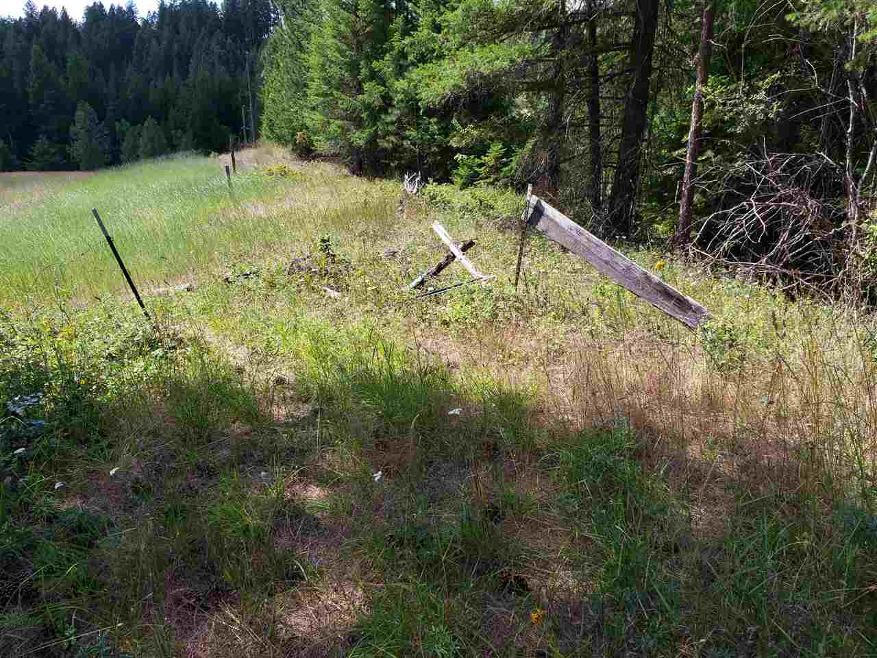 Xxxx Prouty Corner Loop Road Colville, WA 99114 - Photo 9 of 20