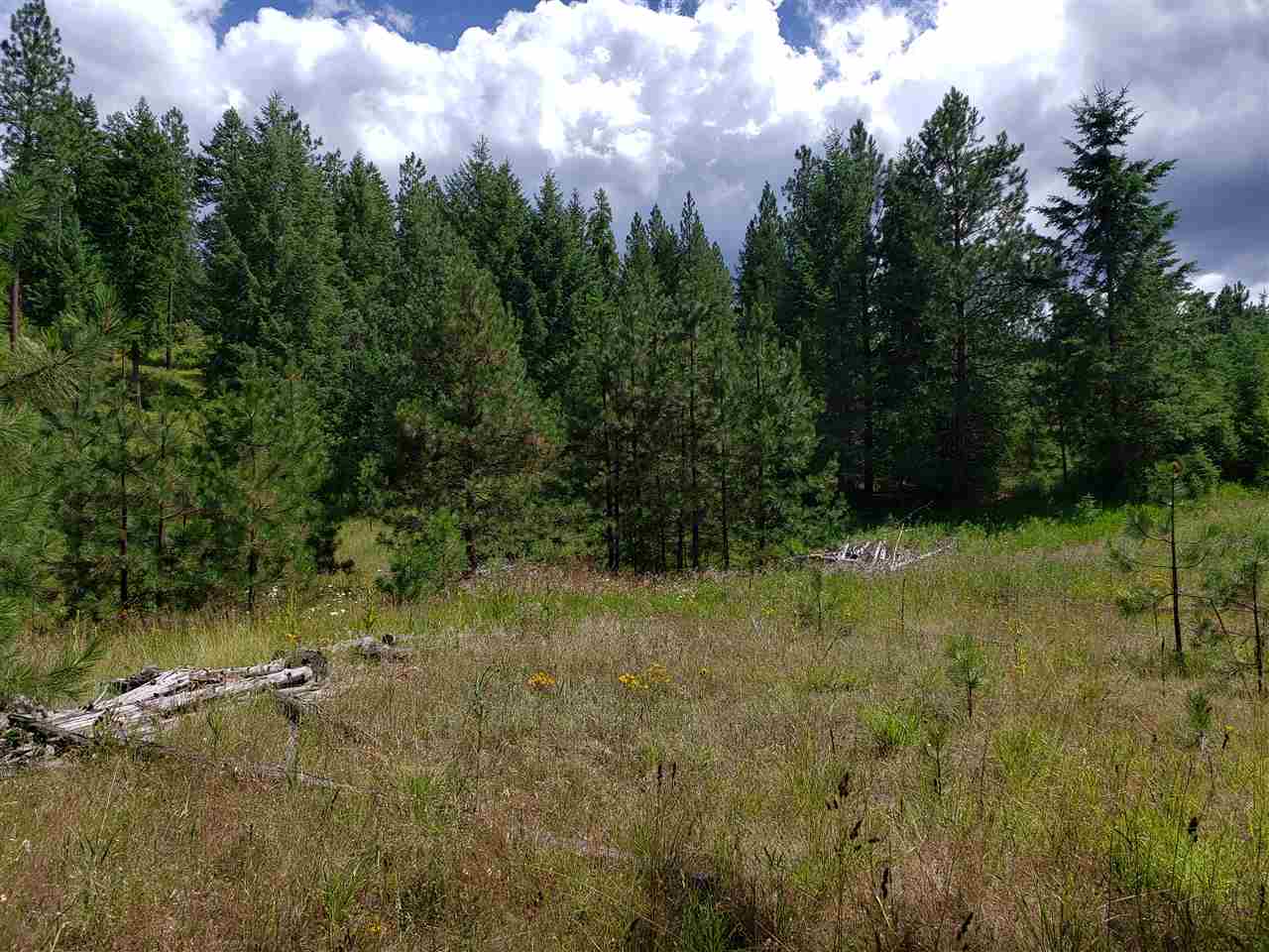 Xxxx Prouty Corner Loop Road Colville, WA 99114 - Photo 10 of 20