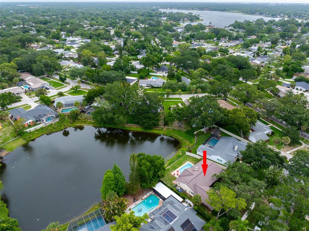 3605 Schefflera Road Tampa, FL 33618 - Photo 49 of 49