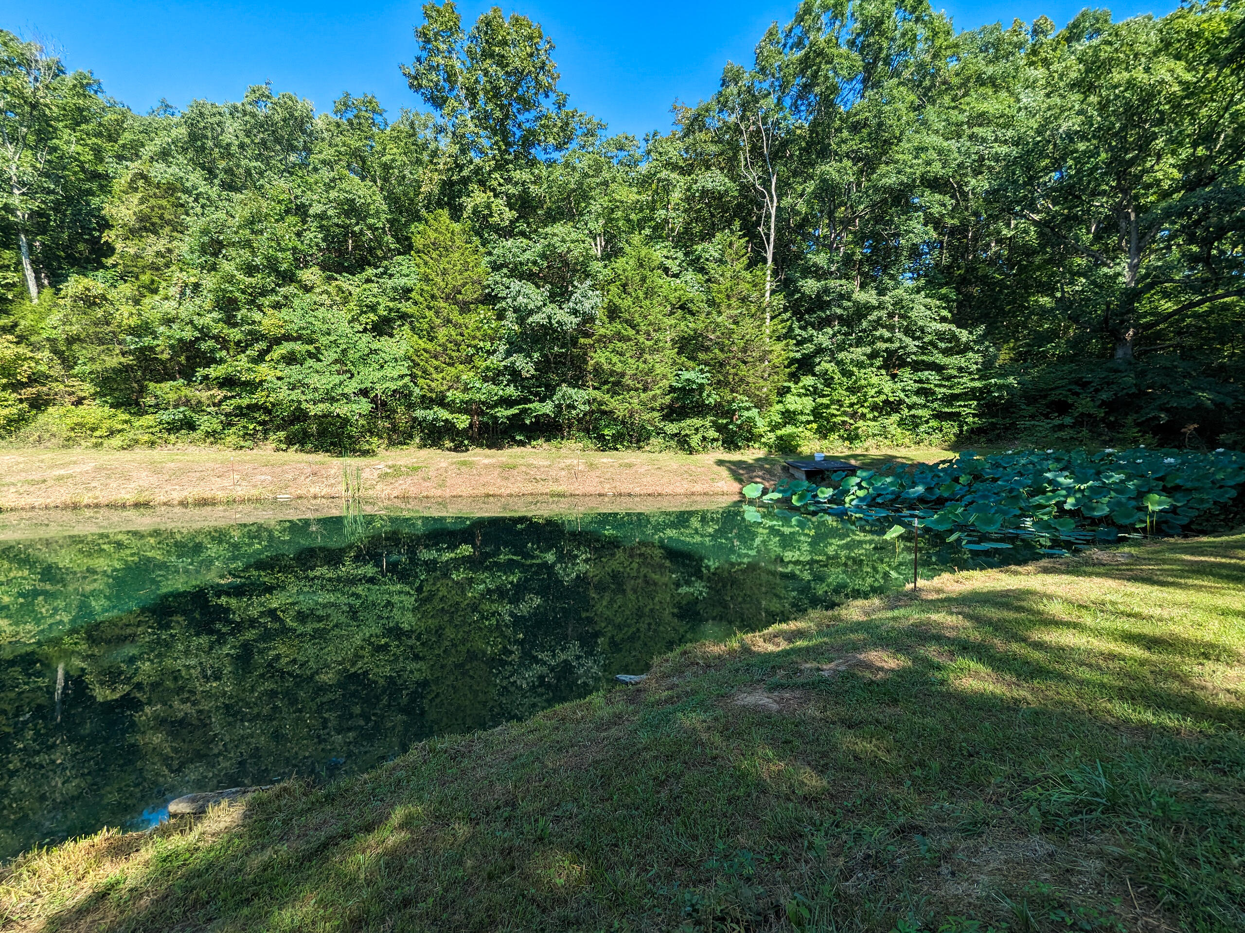 1784 Porter Road Sadieville, KY 40370 - Photo 38 of 47 Gallery Image 38