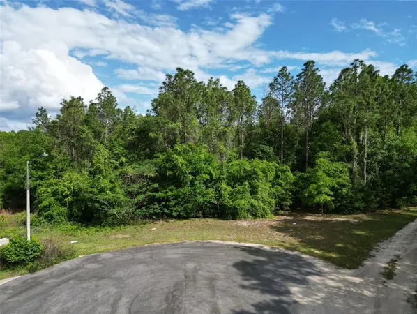 $225,000 | 0 Southeast 119th Street, Belleview, FL 34420