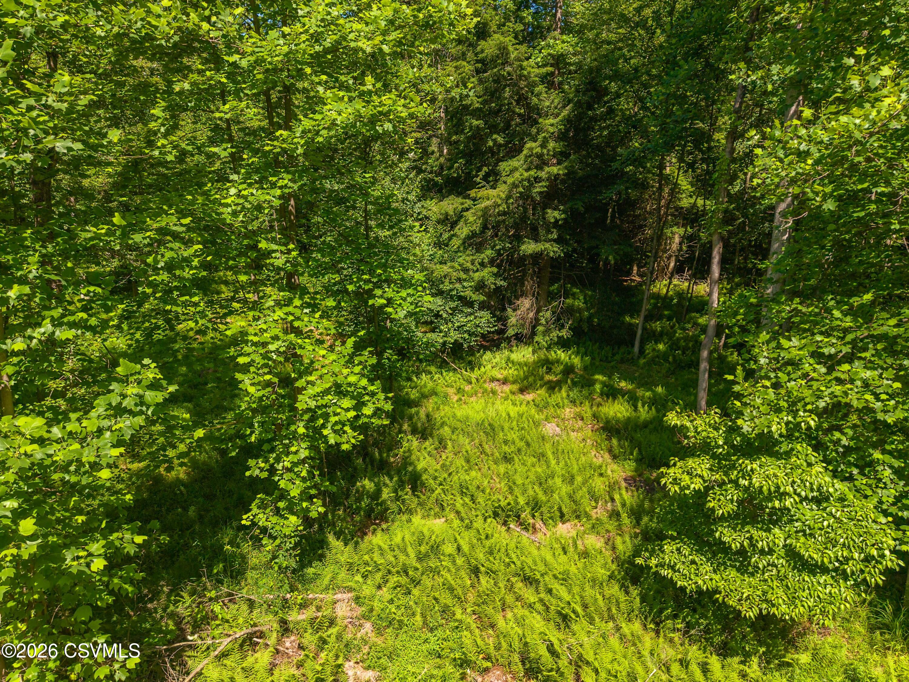 3 Friedline Road Danville, PA 17821 - Photo 21 of 26