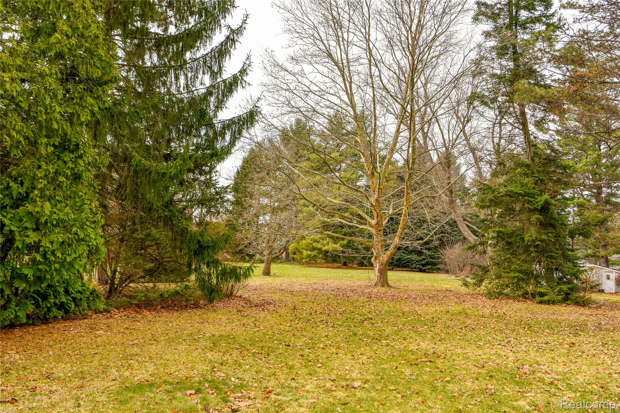Lot 64 Merry Road Waterford, MI 48328 - Photo 4 of 26 1493 Vacant Lot for MLS (4).jpg