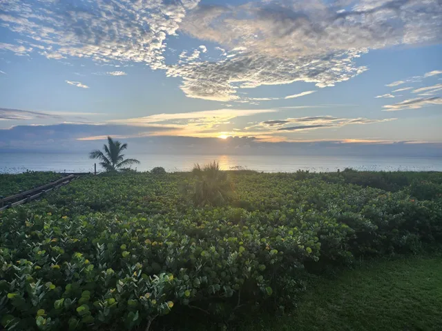 a view of a lake and green valley