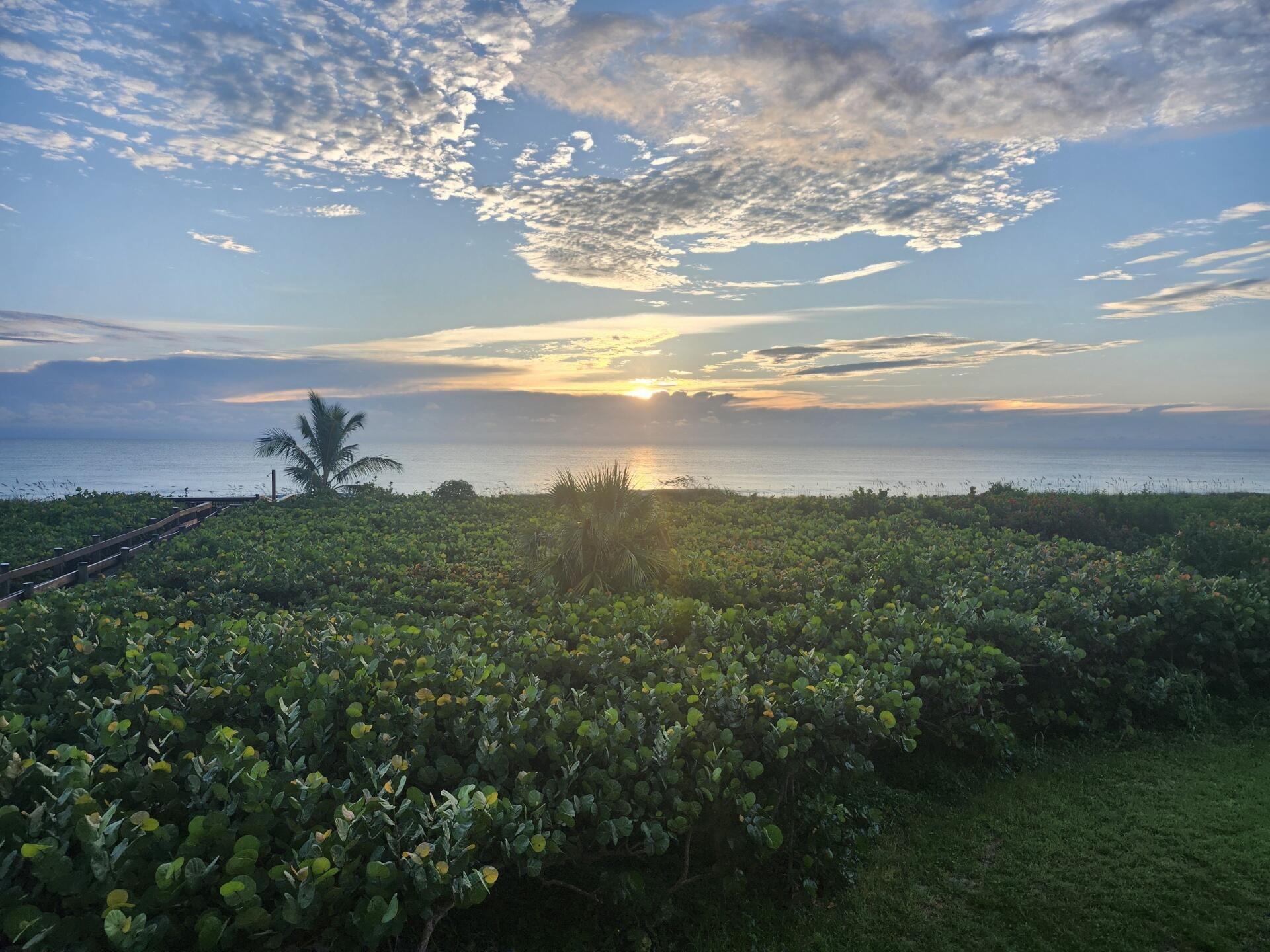 a view of a lake and green valley
