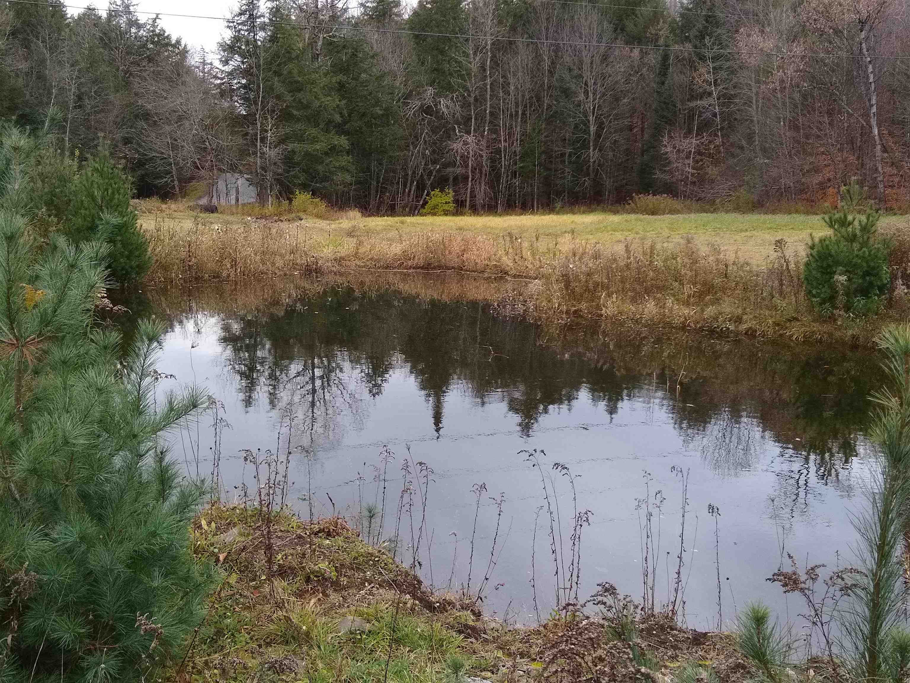 191 Strafford Road Tunbridge, VT 05077 - Photo 34 of 37
