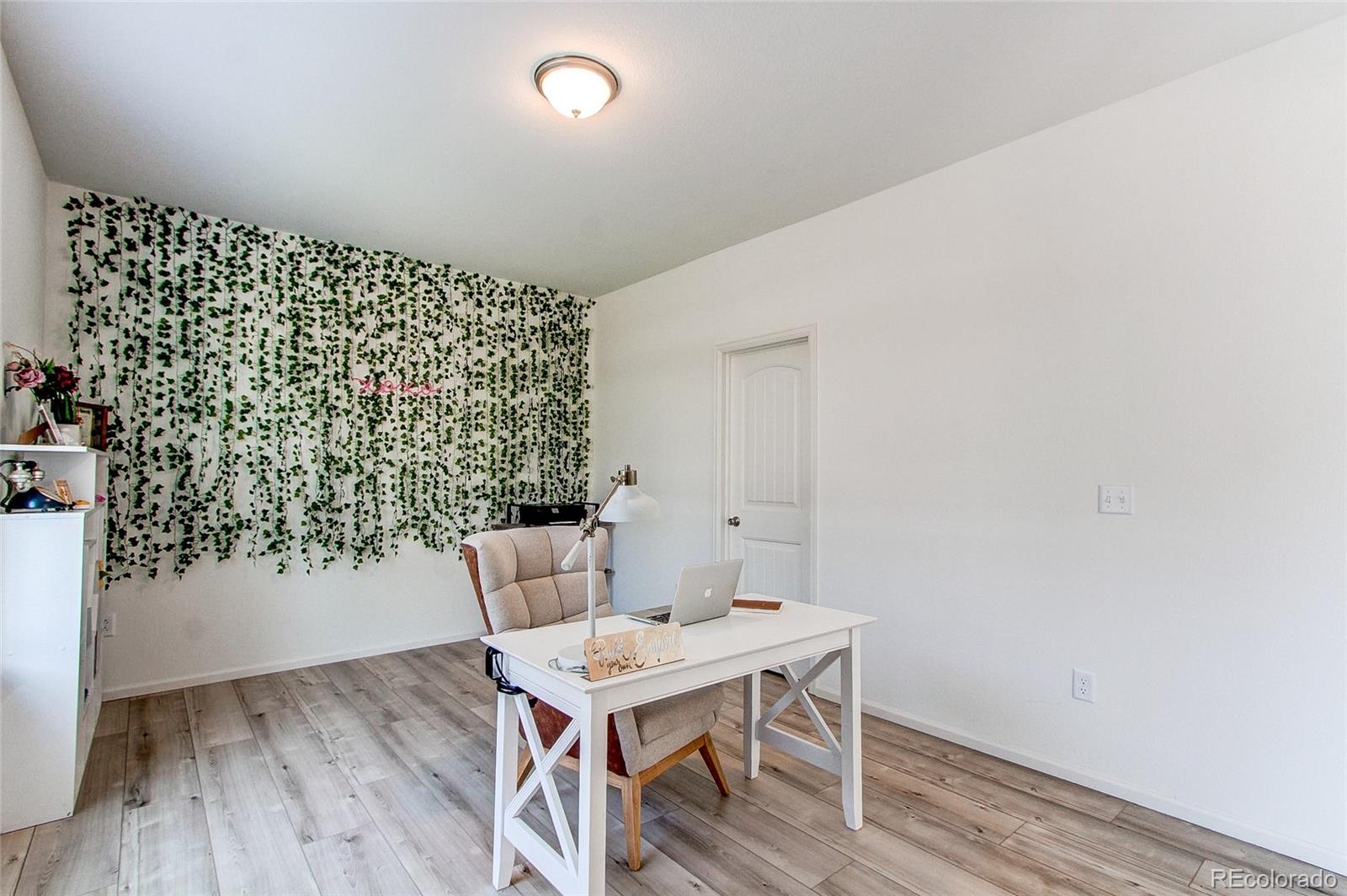 564 Felicity Loop Castle Rock, CO 80109 - Photo 19 of 50