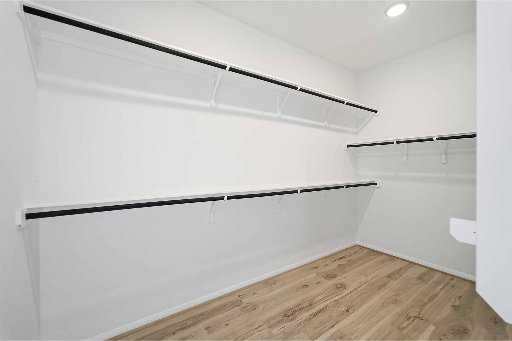 359 Grey Leaf Road Buda, TX 78610 - Photo 31 of 37 Walk in closet with light wood-style floors
